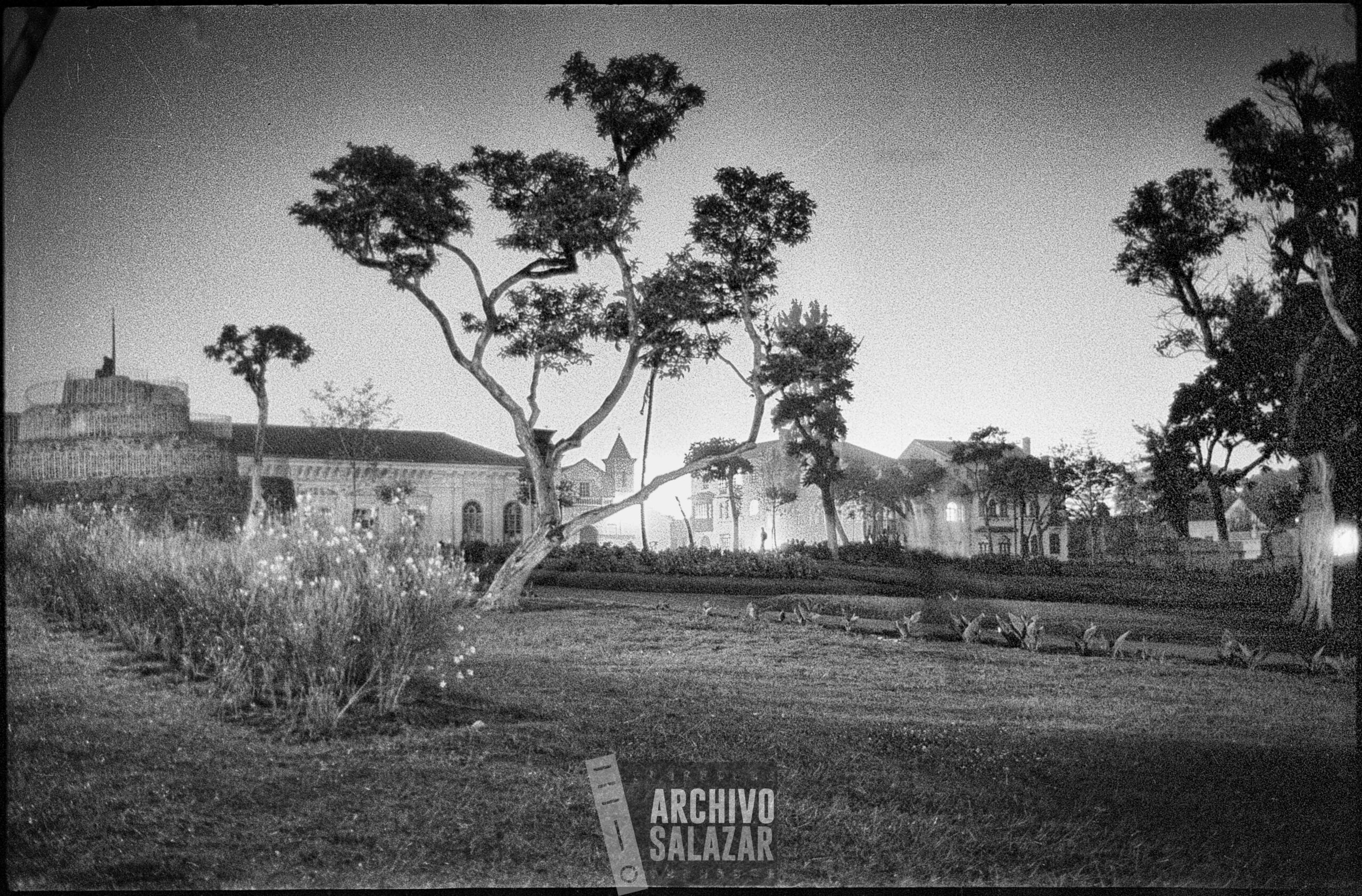 Parque La Alameda.
Roberto Salazar, ca. 1965
©ArchivoSalazar